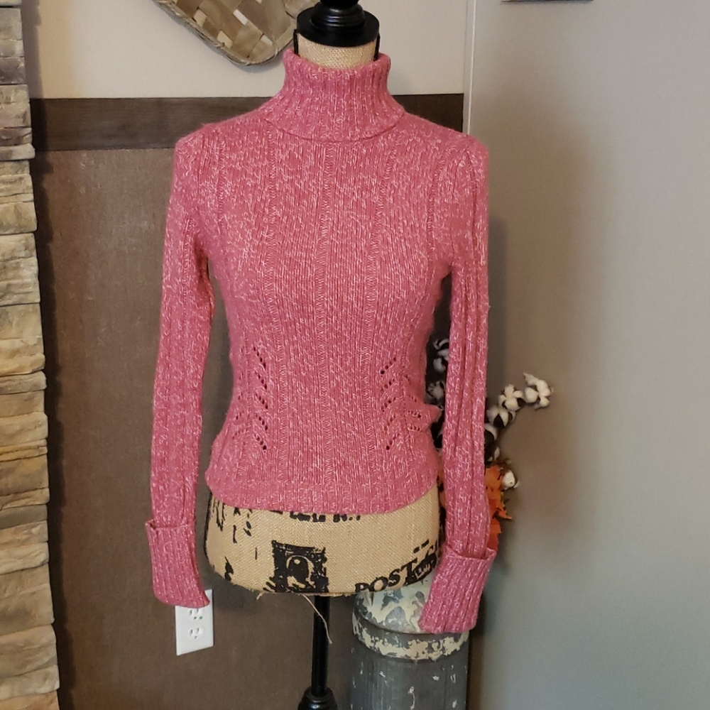 EXPRESS TURTLENECK SWEATER